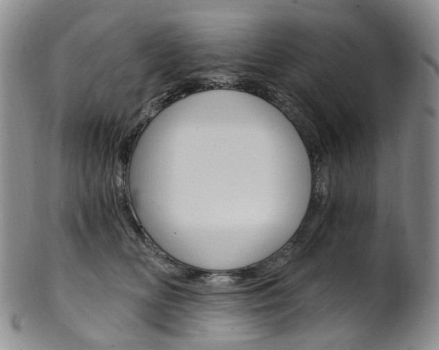X0000101650518200807100943