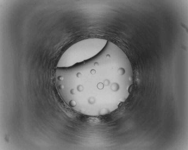 X0000101650519200807100943