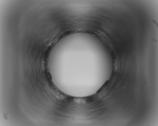X0000101650520200807100943
