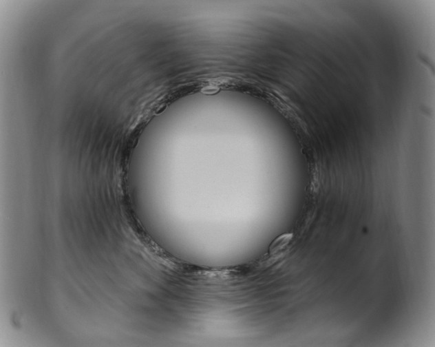 X0000101650524200807100943