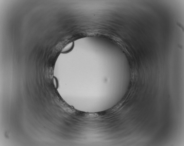 X0000101650525200807100943