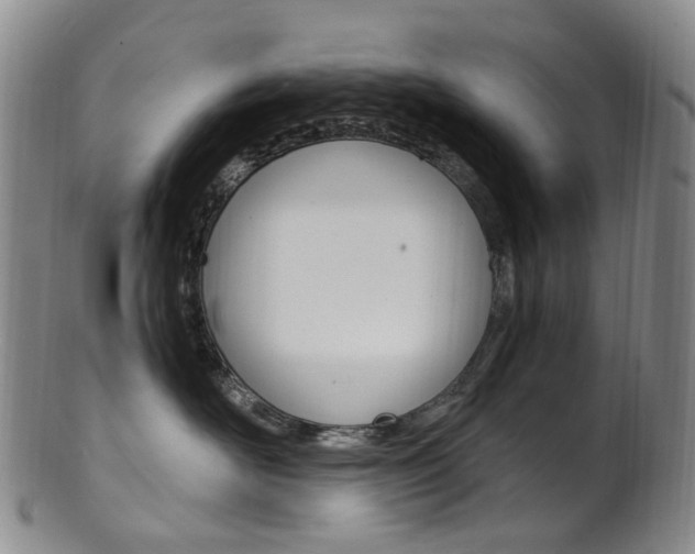 X0000101650526200807100943