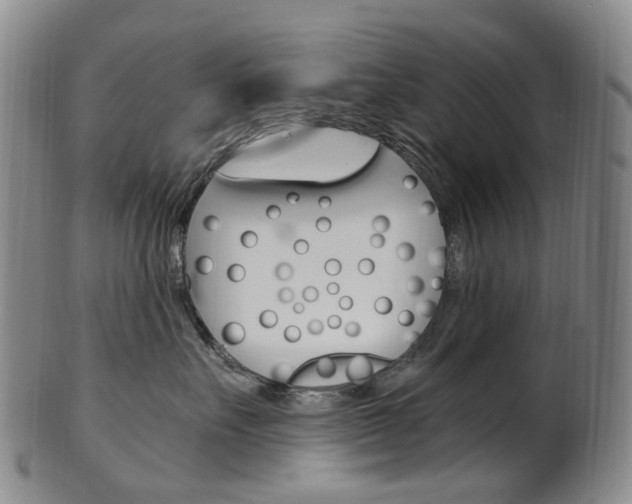 X0000101650527200807100943