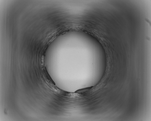 X0000101650528200807100943