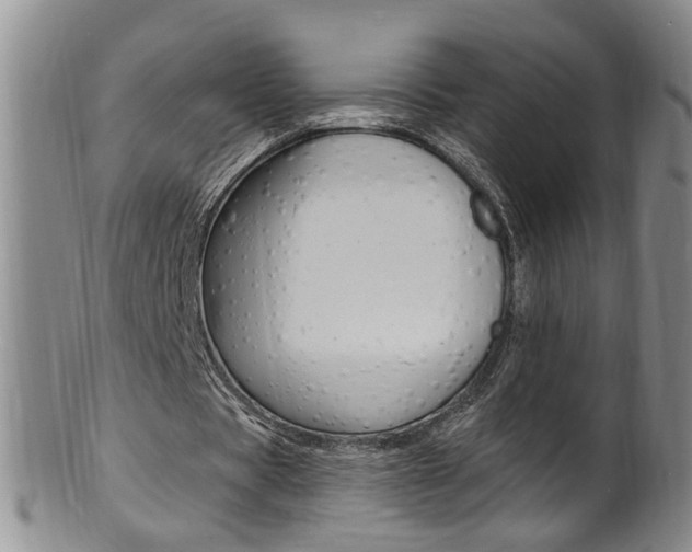 X0000101650529200807100942