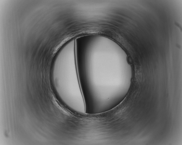 X0000101650530200807100942