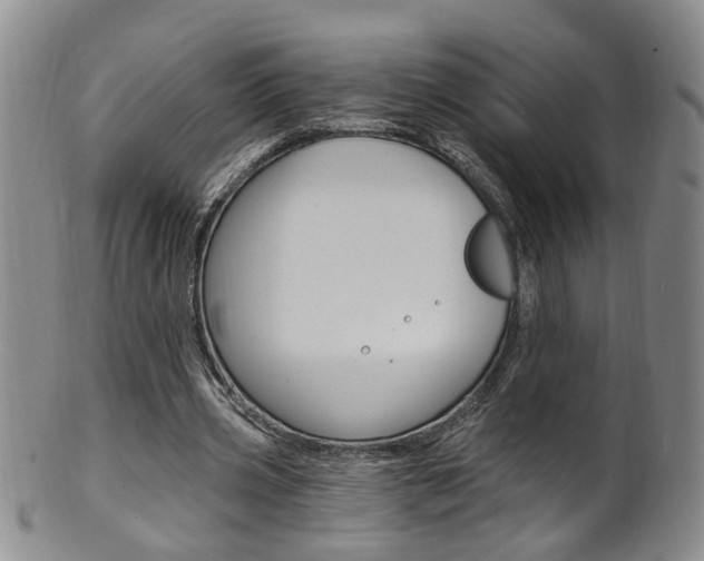 X0000101650533200807100942