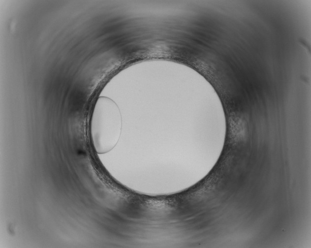 X0000101650534200807100942