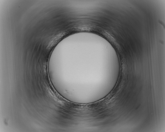 X0000101650537200807100942