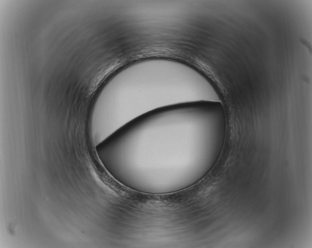 X0000101650538200807100942