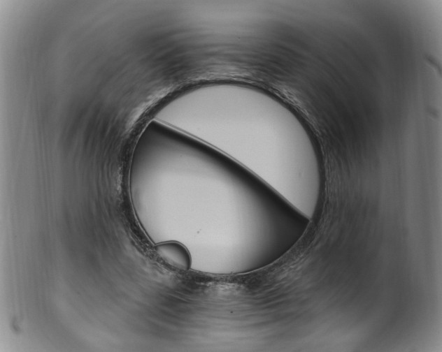 X0000101650539200807100942