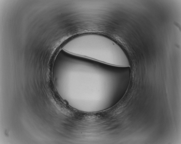X0000101650540200807100942