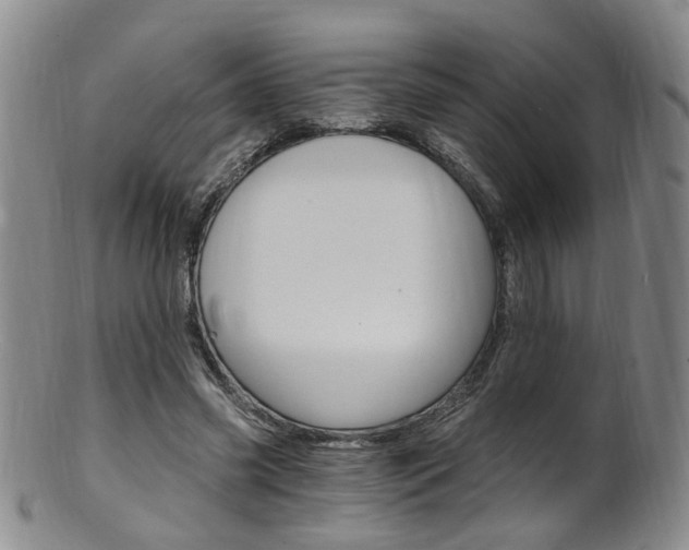 X0000101650541200807100942