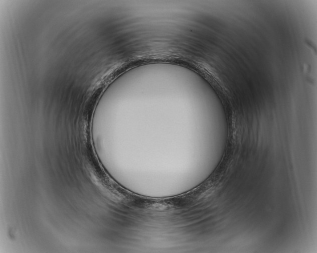 X0000101650542200807100942