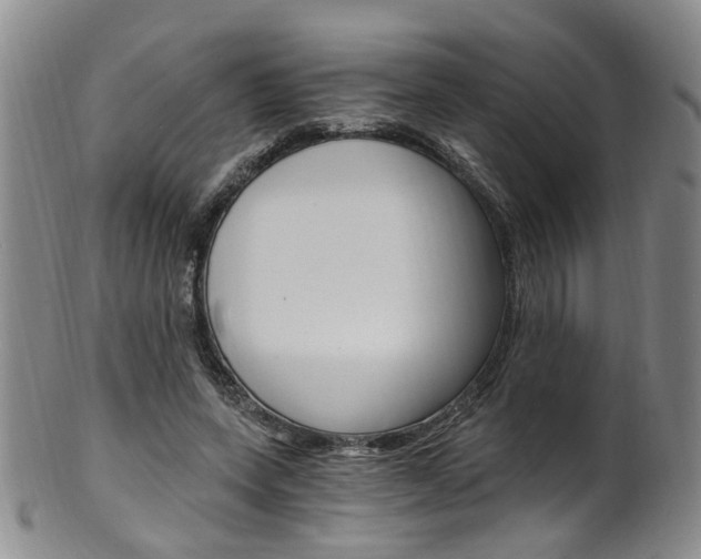X0000101650543200807100942