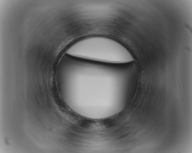 X0000101650544200807100942