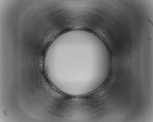X0000101650545200807100942
