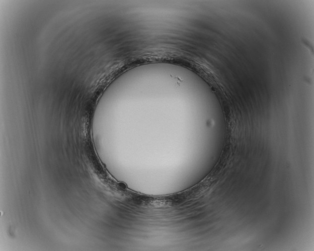 X0000101650546200807100942