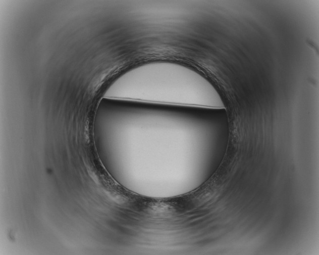 X0000101650547200807100942