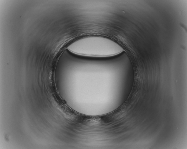 X0000101650548200807100942