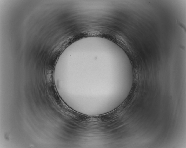 X0000101650549200807100942