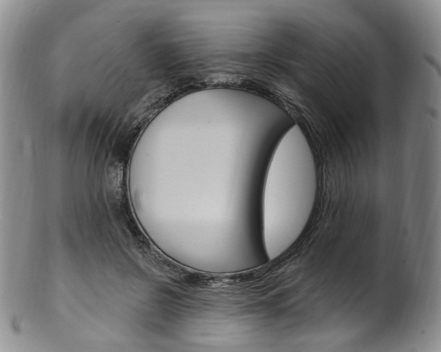 X0000101650550200807100942