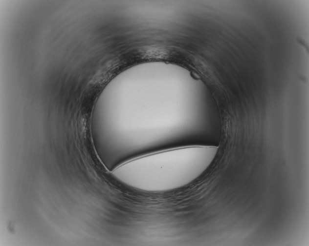 X0000101650551200807100942