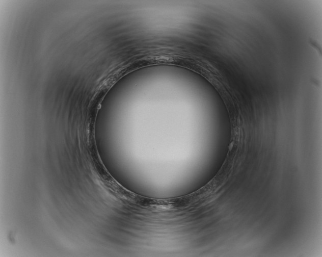 X0000101650552200807100942