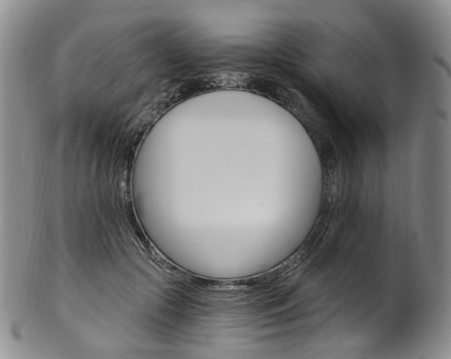 X0000101650553200807100942