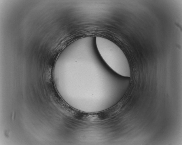 X0000101650554200807100942