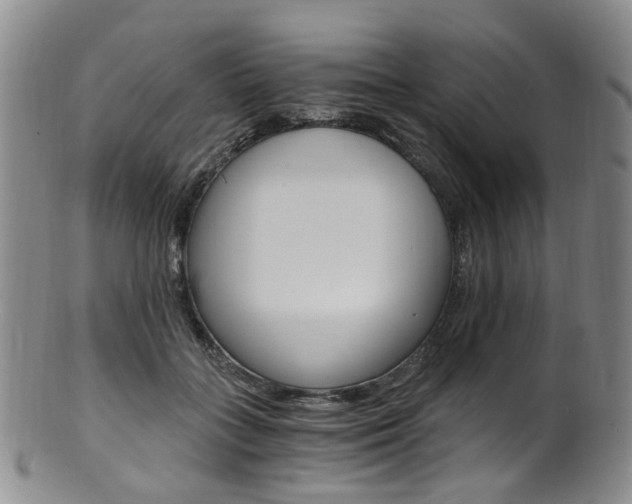 X0000101650555200807100942