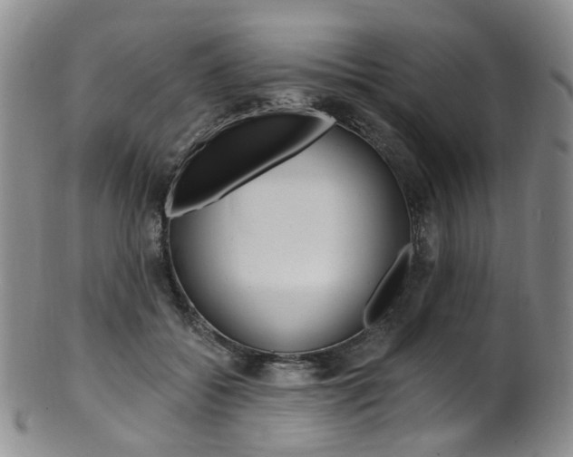 X0000101650556200807100943