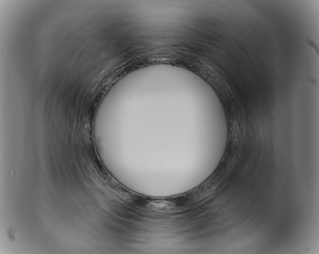 X0000101650557200807100943