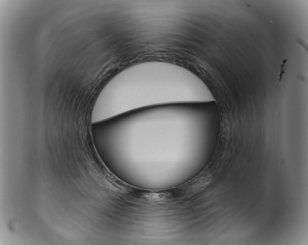 X0000101650558200807100943