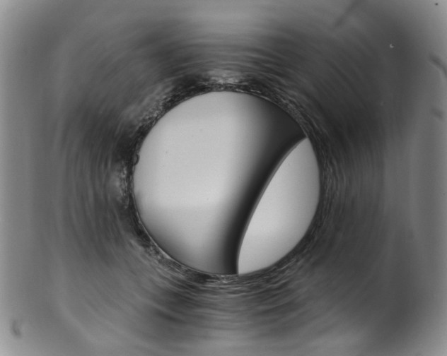 X0000101650559200807100943