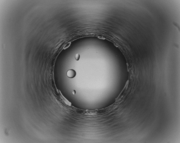 X0000101650560200807100943