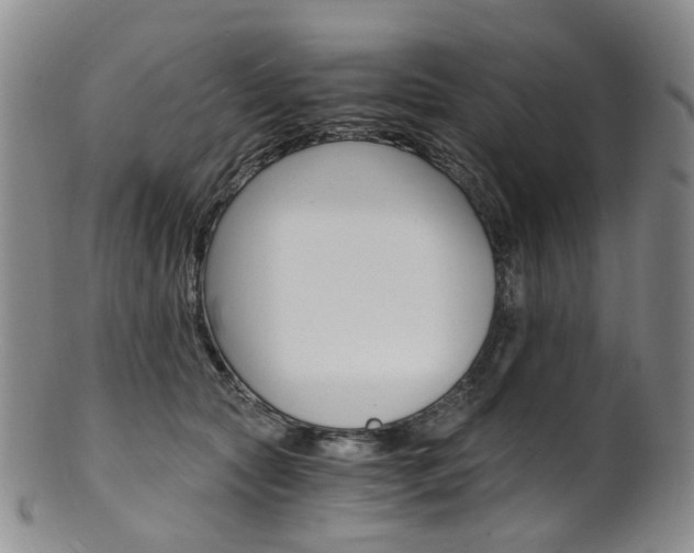 X0000101650561200807100943