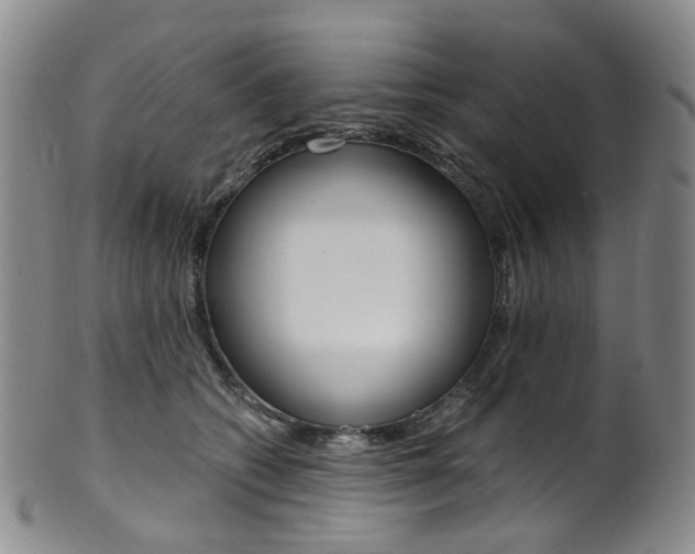 X0000101650562200807100943