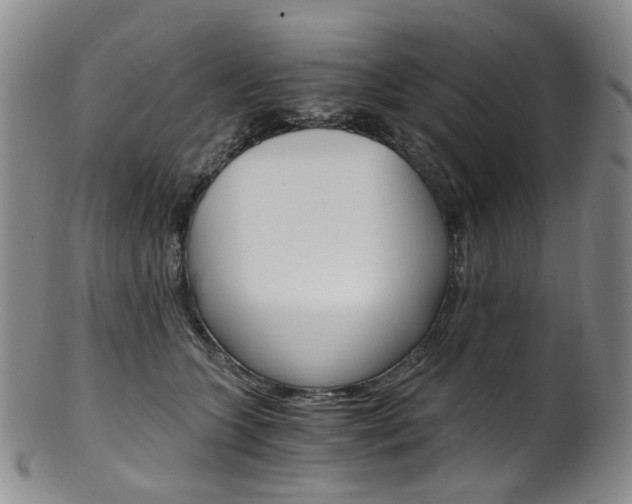 X0000101650563200807100943