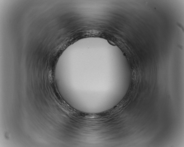 X0000101650564200807100943