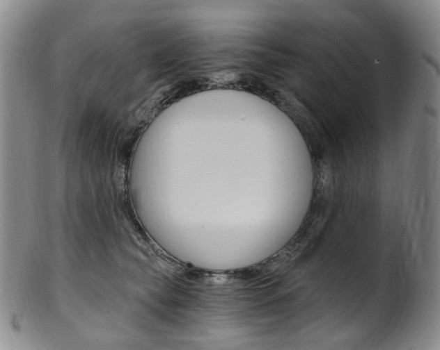 X0000101650565200807100943
