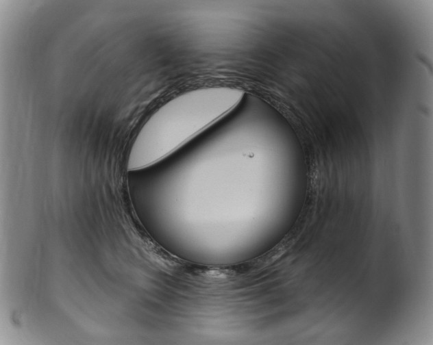 X0000101650566200807100943