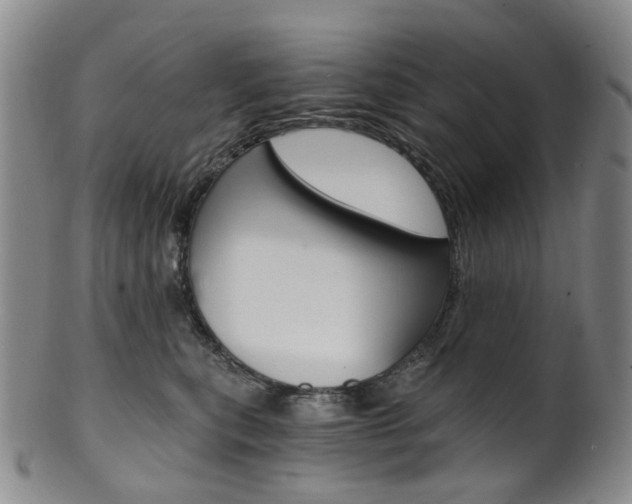 X0000101650567200807100943