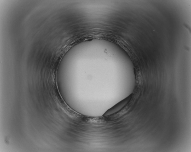 X0000101650568200807100943