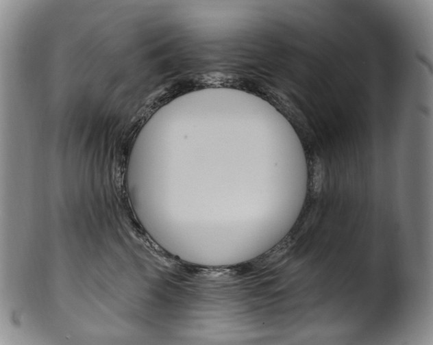X0000101650569200807100943