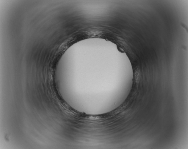 X0000101650570200807100943