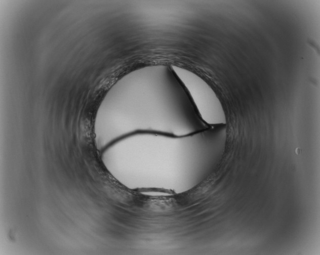X0000101650571200807100943