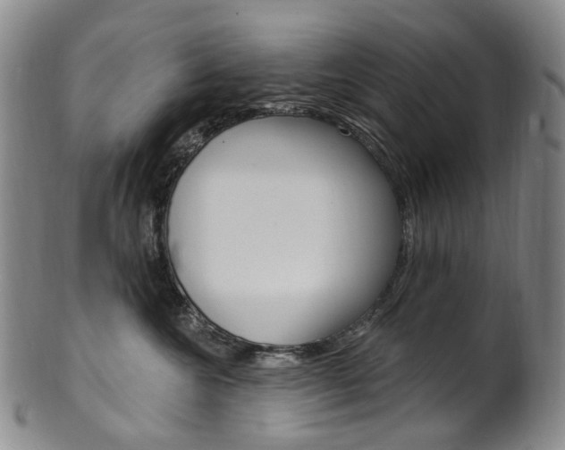 X0000101650572200807100943