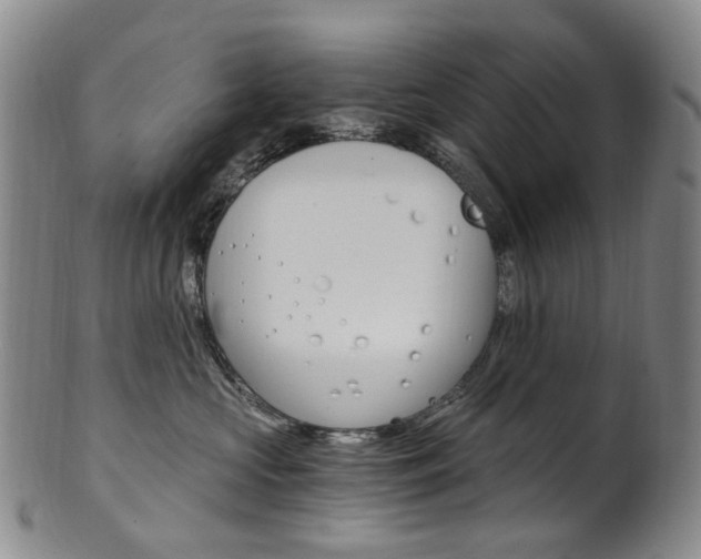 X0000101650573200807100943