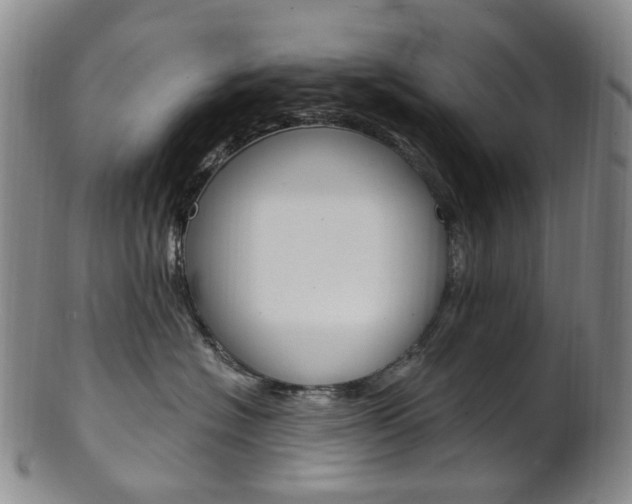 X0000101650574200807100943